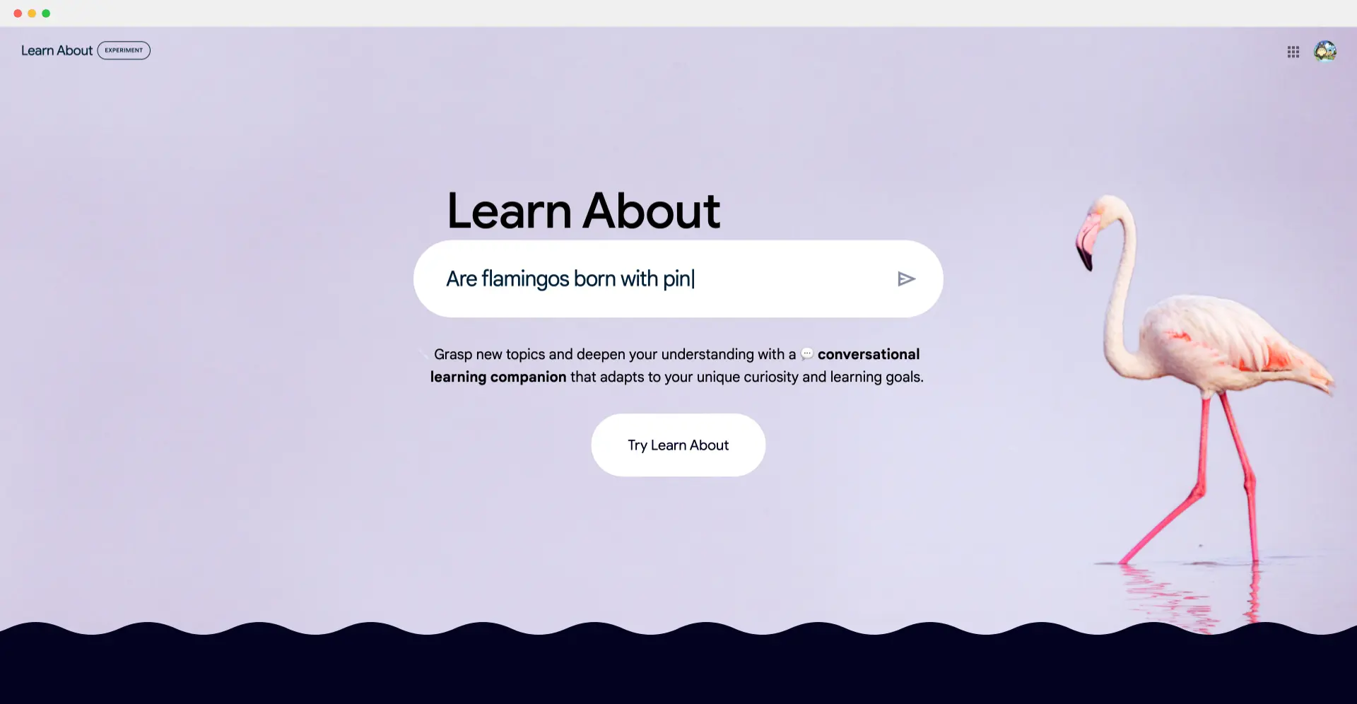 Learn About - Google推出的个性化AI学习助手